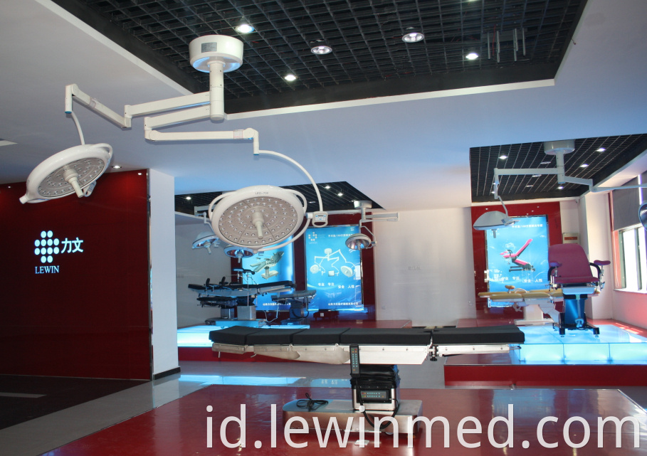 lewin showrooms